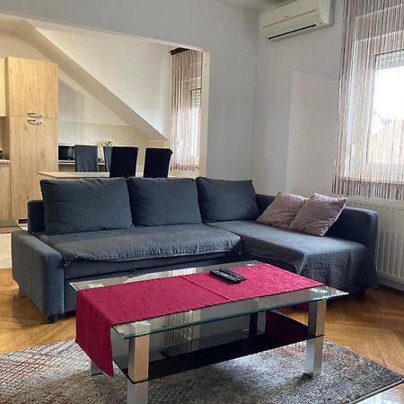 Apartments "Pavic" Near Zagreb Airport Velika Gorica Dış mekan fotoğraf